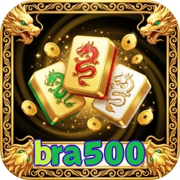 bra500