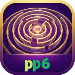 pp6